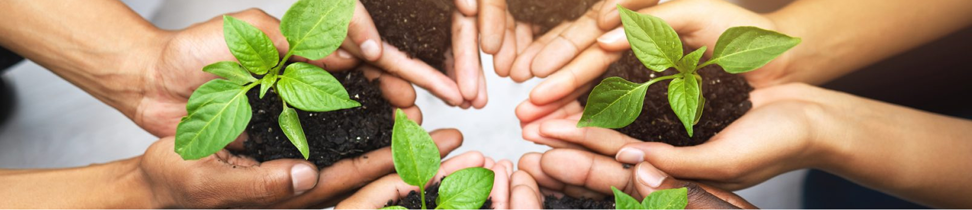 Chemical Industry Header